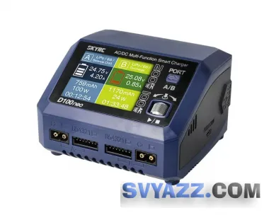 Зарядное устройство SkyRC D100neo 10A/200W c/БП двухпортовое фото